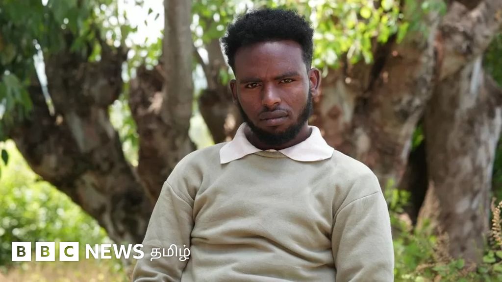 பல நூற்றுக்கணக்கான புலம்பெயர்ந்தோரை சுட்டுக்கொன்ற சௌதி அரேபிய எல்லைப் படை