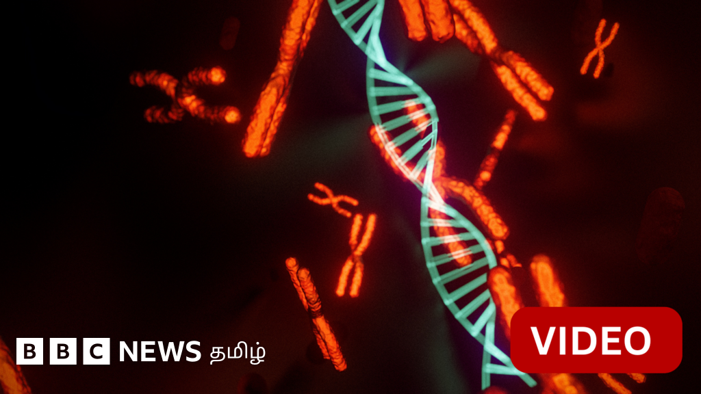 காணொளி: ஆண்களுக்கு மட்டுமே உள்ள 'ஒய்' குரோமோசோம் கொண்ட அபூர்வ 'பெண்'