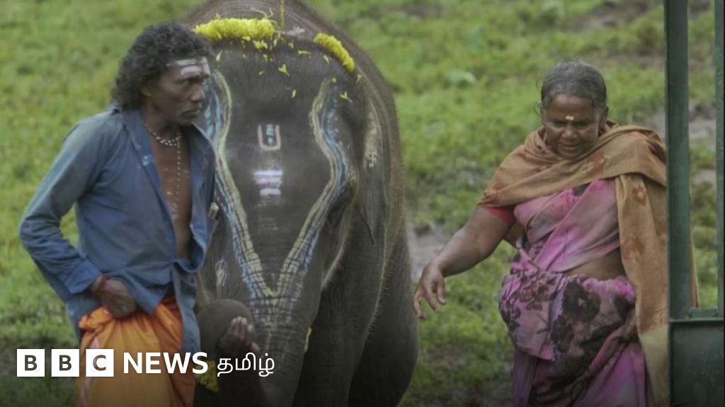 “ஆஸ்கர் விருது கெடச்ச இந்த நேரத்துல கூட யானை ரகு இல்லையே!” – நெகிழும் பொம்மன், பெள்ளி