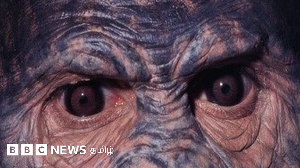 கற்கால மனிதர்கள் பிறருடன் பேச இந்த பயன்படுத்திய 'வழி' இதுதான்