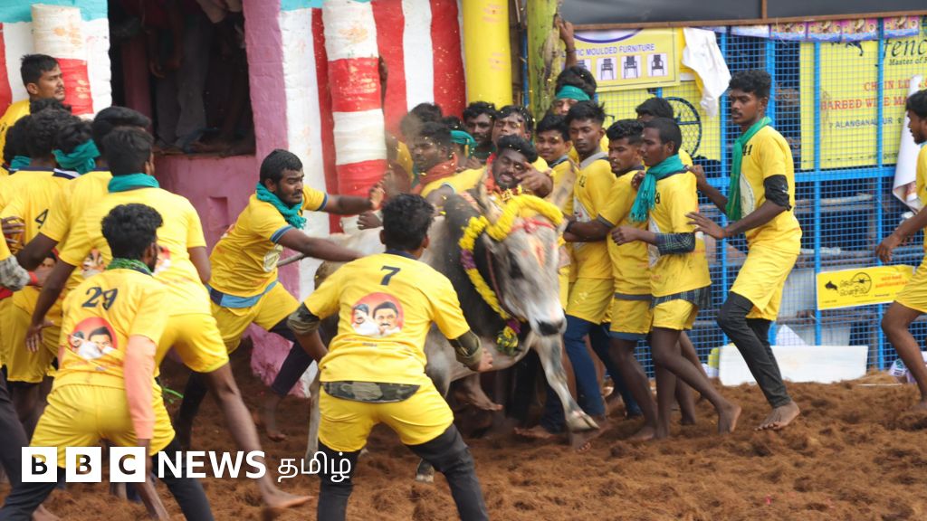 பாலமேடு ஜல்லிக்கட்டு: 1,000 காளைகள், 600 வீரர்கள் பங்கேற்ற போட்டியில் வெற்றி பெற்றது யார்?