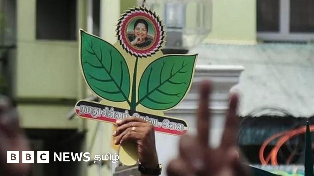 அதிமுகவுக்கு இரட்டை இலை குழப்பம் - தேர்தல் முடிவுகளை சின்னம் தான் நிர்ணயிக்கிறதா?