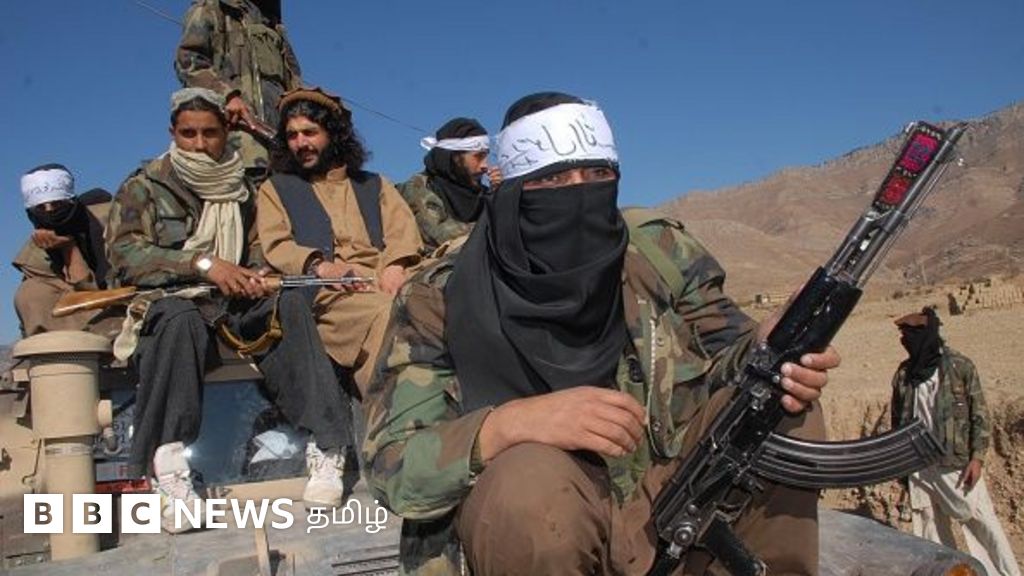 பாகிஸ்தான் தாலிபனுக்கு எதிராக ஆப்கானிஸ்தான் தாலிபன் ஏன் நடவடிக்கை எடுக்காது?