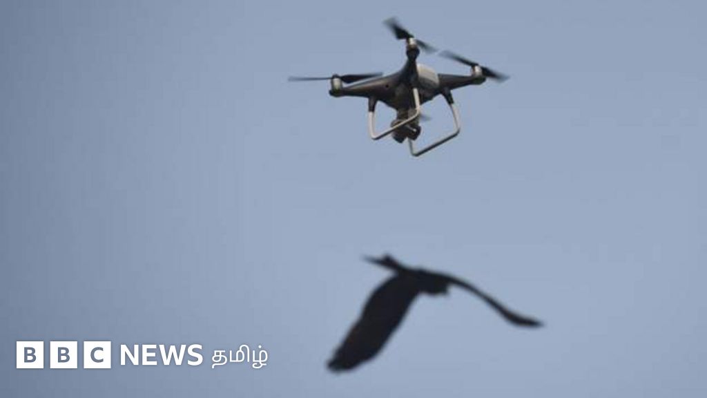 இந்திய எல்லைக்குள் நுழைந்த பாகிஸ்தானின் ஆளில்லா விமானம் சுட்டு வீழ்த்தப்பட்டது
