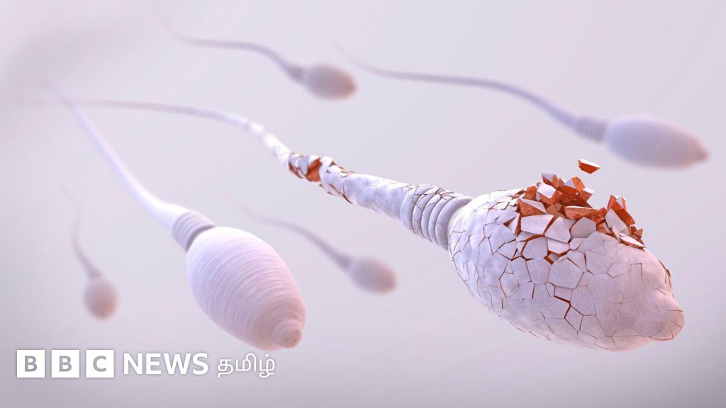 தூக்கத்தில் விந்து வெளியேறுவது ஆண் மலட்டுத்தன்மையின்  அறிகுறியா?