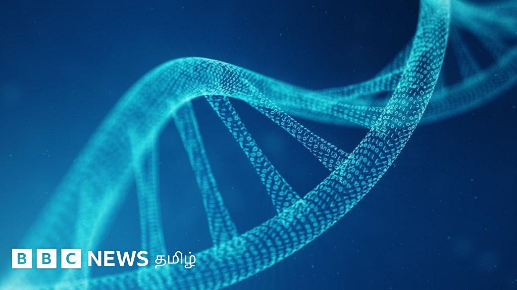 மனிதர்களையே செயற்கையாக உருவாக்க உதவுமா விஞ்ஞானிகளின் புதிய டி.என்.ஏ ஆய்வு?