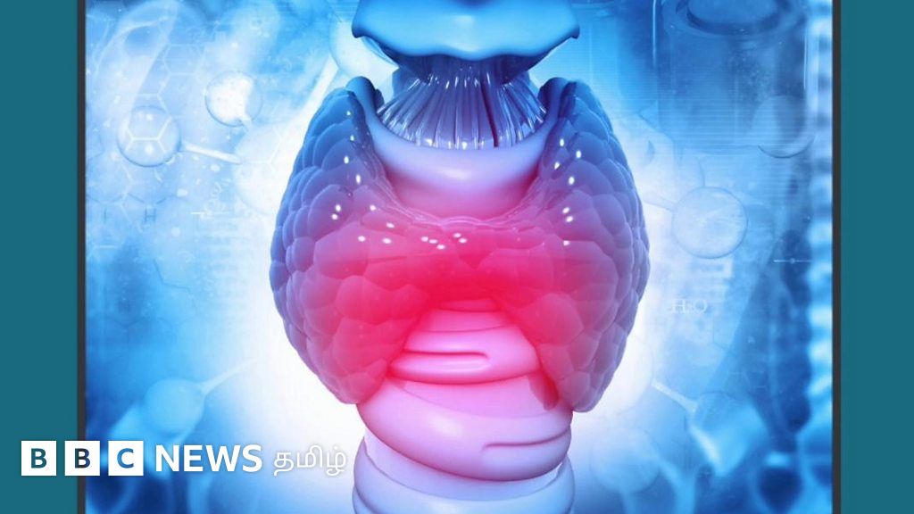 தைராய்டு குறைபாடு என்பது என்ன? மாதவிடாய், இதயத்துடிப்பு, உடல் எடை, மகப்பேறு ஆகியவற்றை இது எப்படி பாதிக்கும்?