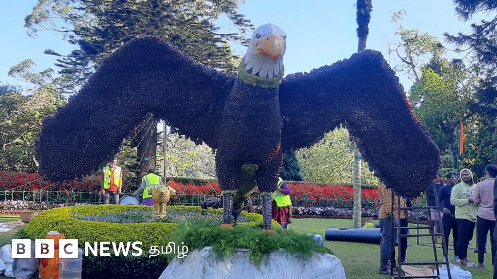 பழங்களால் ஆன ராட்சத கழுகு, கரடி - குன்னூர் பழக் கண்காட்சியில் சுவாரஸ்யம்