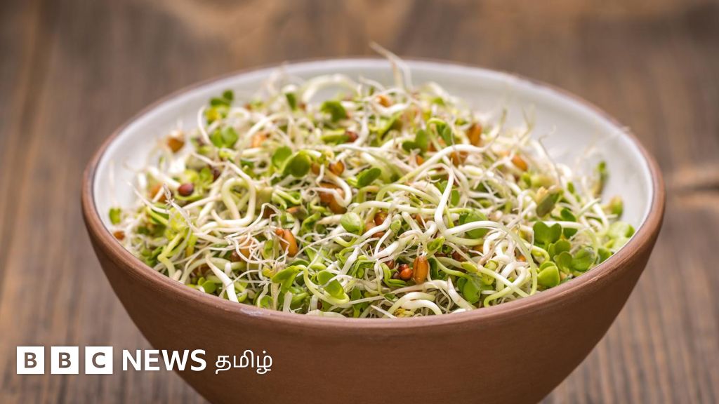 முளைகட்டிய பயறை பச்சையாக சாப்பிடுவது ஆபத்தா? இந்த 7 உணவுகளை சாப்பிடும்போது கவனம் தேவை