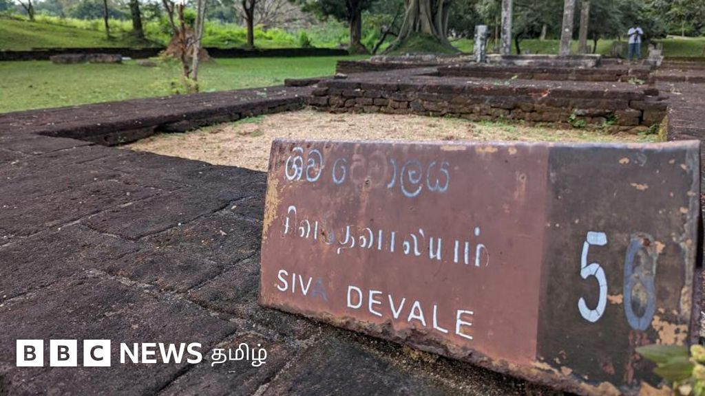 சோழர்களை எதிர்த்து போராடிய ஈழத் தமிழர்கள் - சோழர்களின் படைகளில் சிங்கள வீரர்கள்