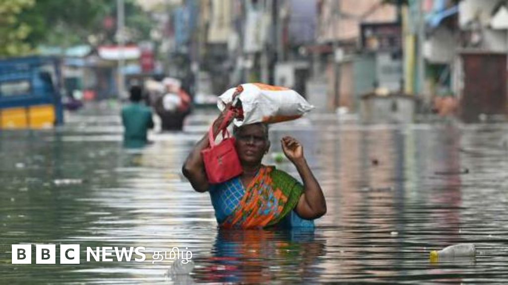 2015ஐ விட 2023இல் அதிக மழை பெய்ததா? தரவுகள் என்ன சொல்கின்றன?