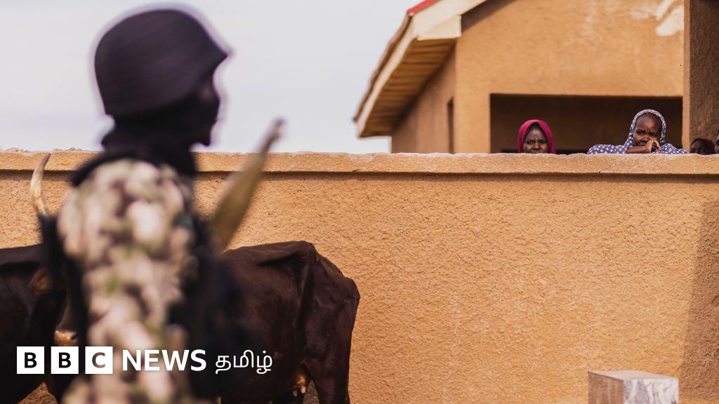 நைஜீரியா: போகோ ஹராம் தீவிரவாதிகளால் 10 ஆண்டுக்கு முன் கடத்தப்பட்ட 276 பள்ளிச் சிறுமிகள் என்ன ஆயினர்?