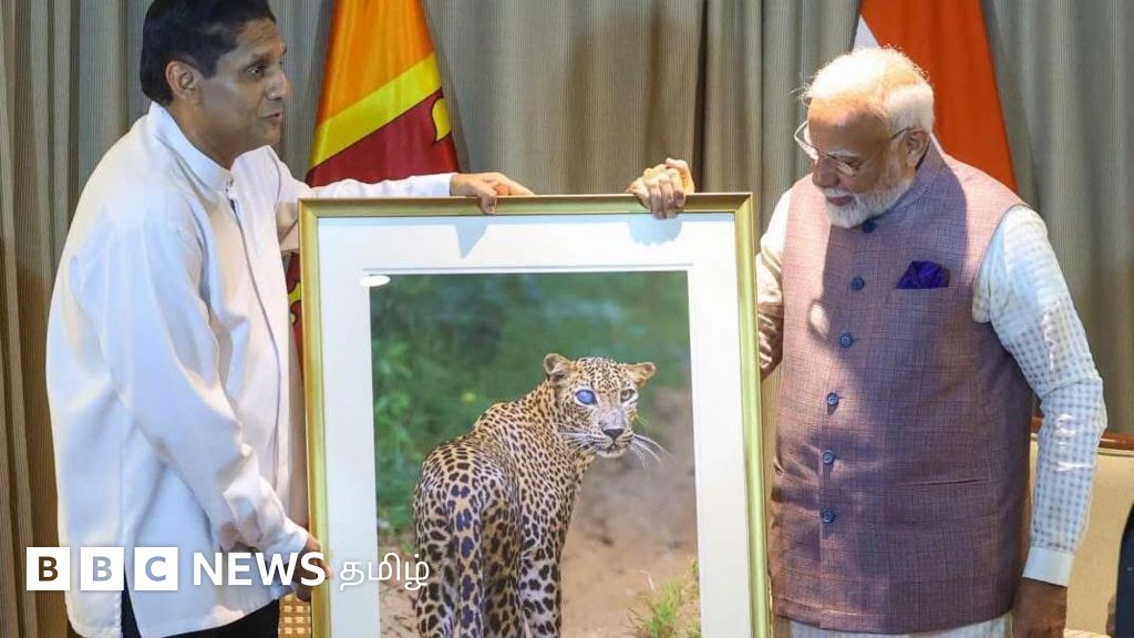 இலங்கையில் மோதிக்கு வழங்கப்பட்ட 'ஒற்றைக்கண்' சிறுத்தை படம் – இந்த விலங்கு ஏன் தேடப்படுகிறது?