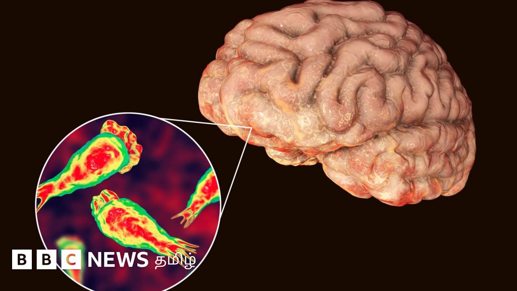 மூளையை தின்னும் அமீபா: அறிகுறிகள் என்னென்ன? தற்காப்பது எப்படி?