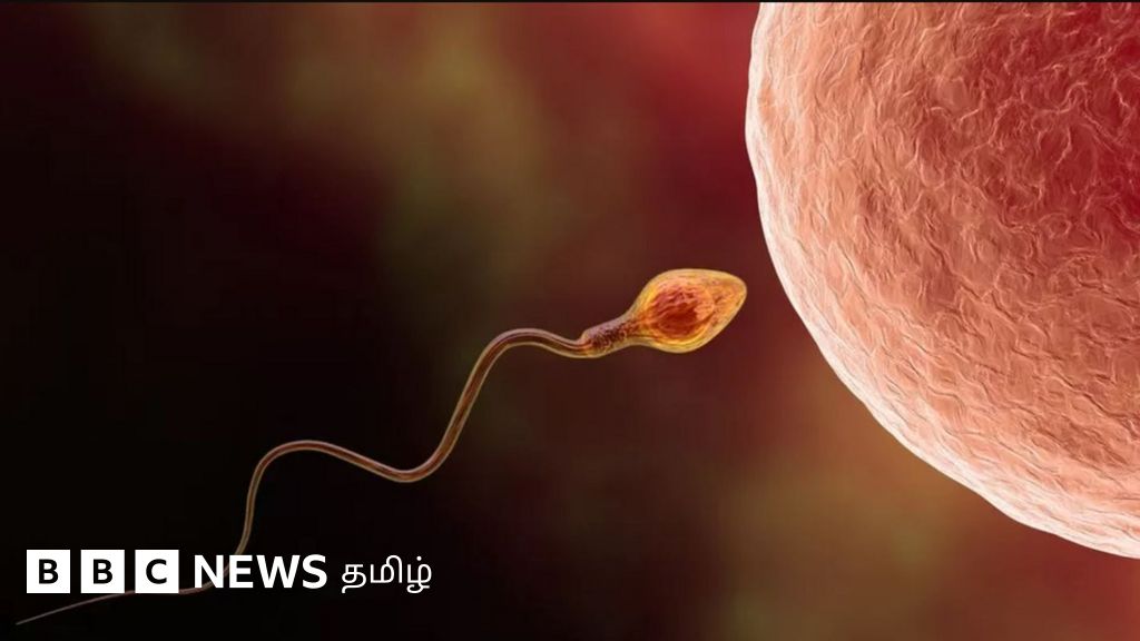 ஆண் மலட்டுத்தன்மை பிரச்னைக்கு தீர்வு காண உதவும் செயற்கை நுண்ணறிவு