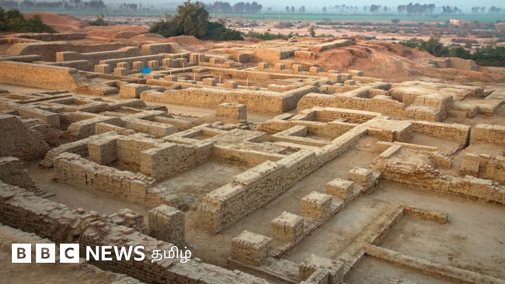 சிந்துச் சமவெளி குறியீடுகள் திராவிட மொழிக் குடும்பத்தைச் சேர்ந்தவையா? புதிய ஆய்வு கூறுவது என்ன?