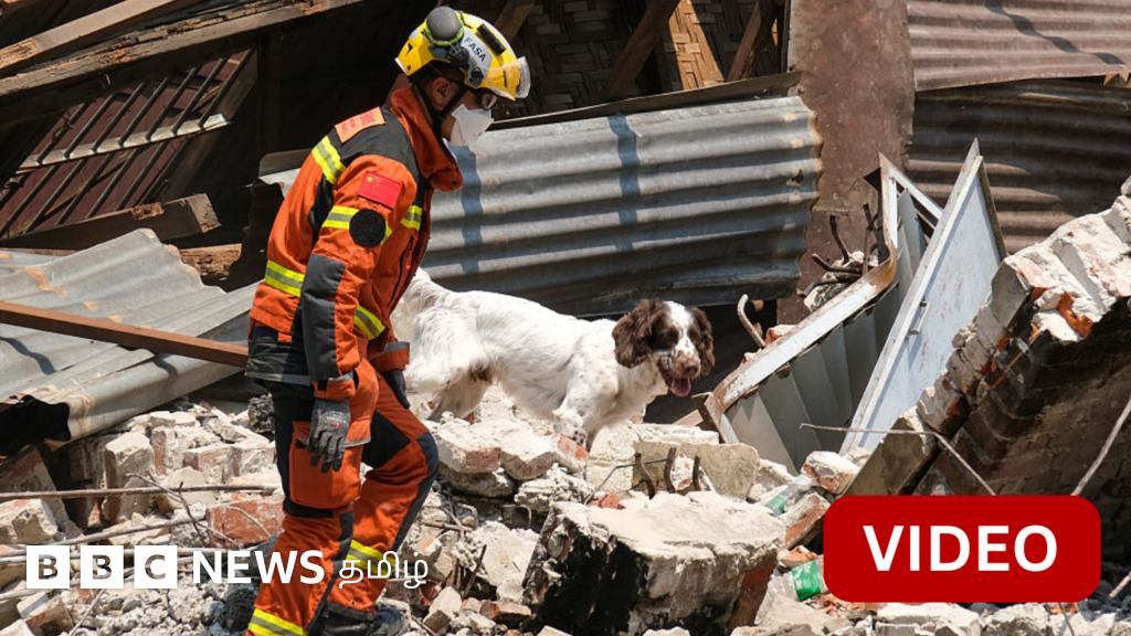 காற்றில் வீசும் சடலங்களின்  துர்நாற்றம் - எப்படி இருக்கிறது மியான்மர்?