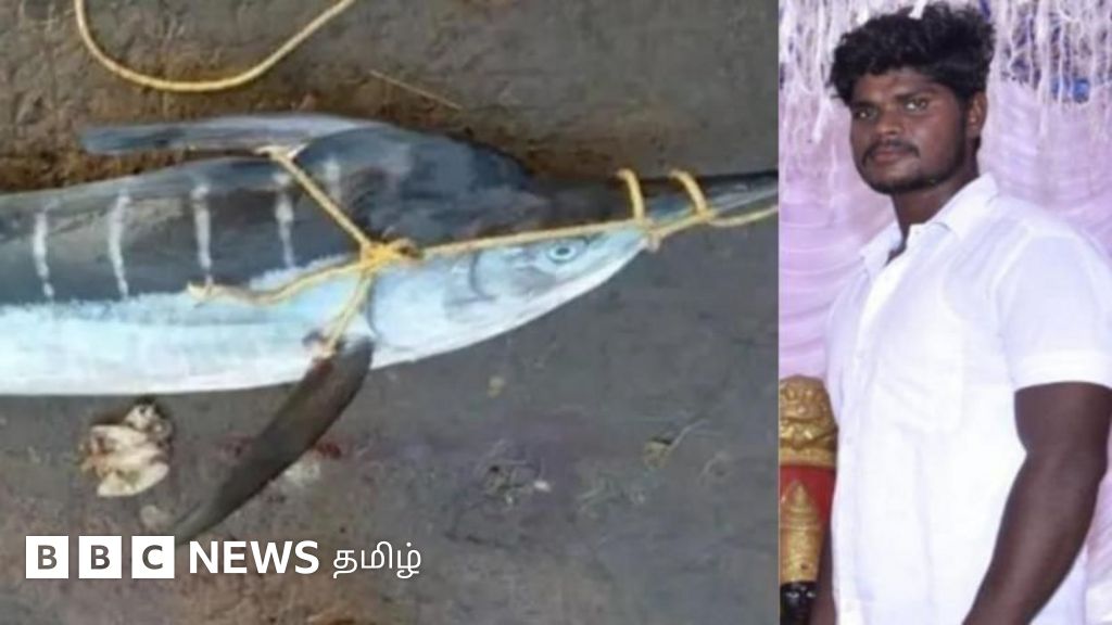 வலையில் சிக்கியதும் மீனவரை கடலுக்குள் இழுத்துச் சென்ற மீன் - ஆந்திராவில் என்ன நடந்தது? 