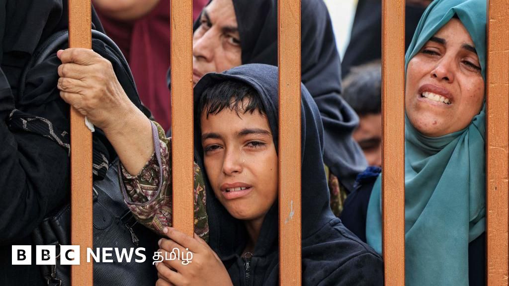 எங்கும் பிணங்கள்; கல்லறையாகும் காஸா மருத்துவமனை - உலக சுகாதார அமைப்பு தரும் அதிர்ச்சித் தகவல்கள்