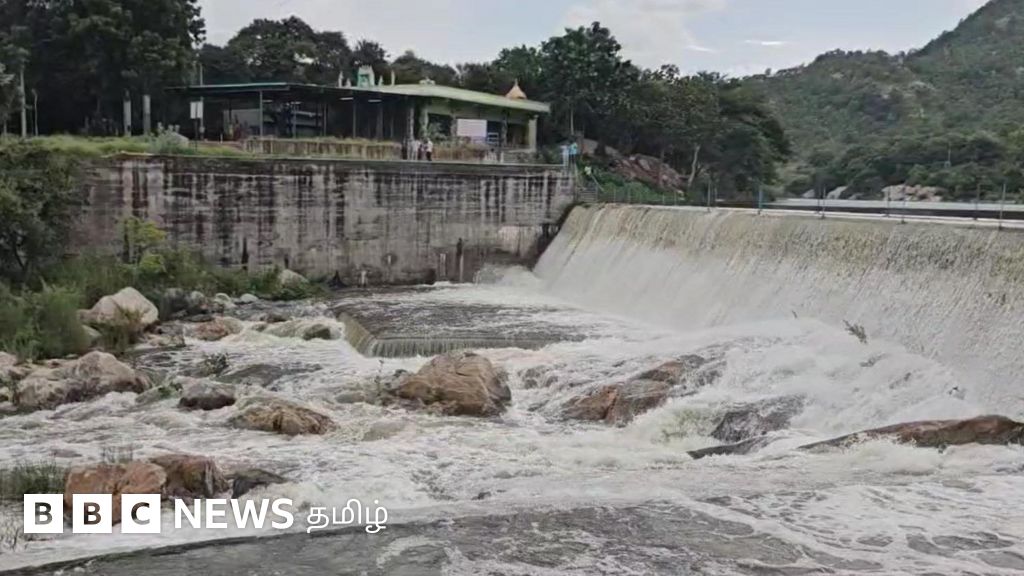 தமிழ்நாட்டில்  வேகமாக நிரம்பும் அணைகள்: மழை பாதிப்பு நிலவரம் என்ன? 