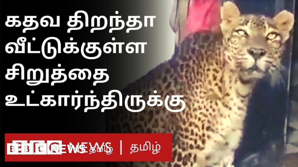 மகாராஷ்டிராவில் பூட்டிய வீட்டுக்குள் புகுந்த சிறுத்தைக் குட்டி