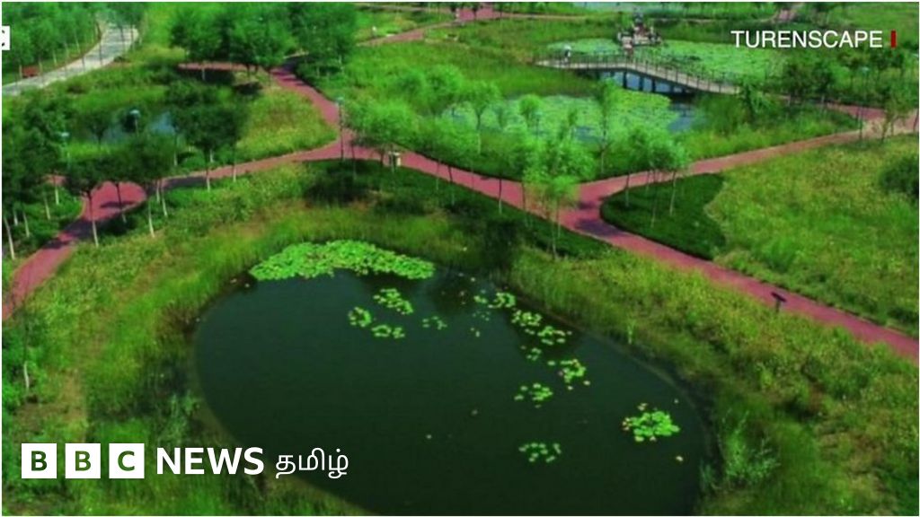 வெள்ளத்தில் மாநகரங்கள் பாதிக்கப்படாமல் இருக்க ஸ்பாஞ்ச் சிட்டி அமைப்பது என்றால் என்ன?