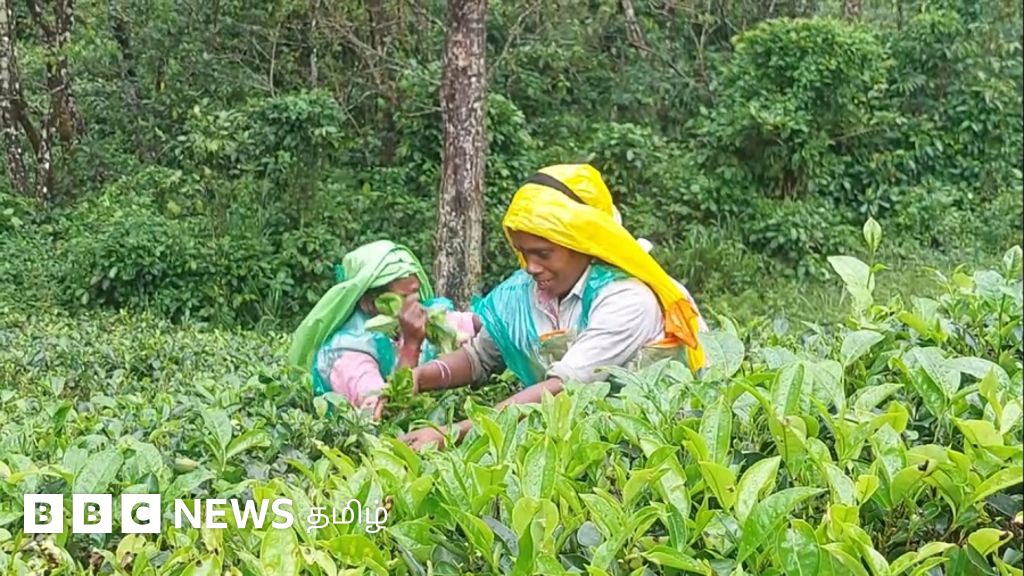 இலங்கை அரசியல்வாதிகளின் தவறால் மலையக மக்கள் புறக்கணிக்கப்படுகிறார்களா?
