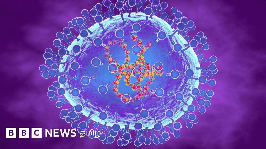 தமிழ்நாட்டிலும் ஹெச்.எம்.பி.வி வைரஸ் தொற்று - தடுப்பது எப்படி? அரசின் அறிவுறுத்தல் என்ன?