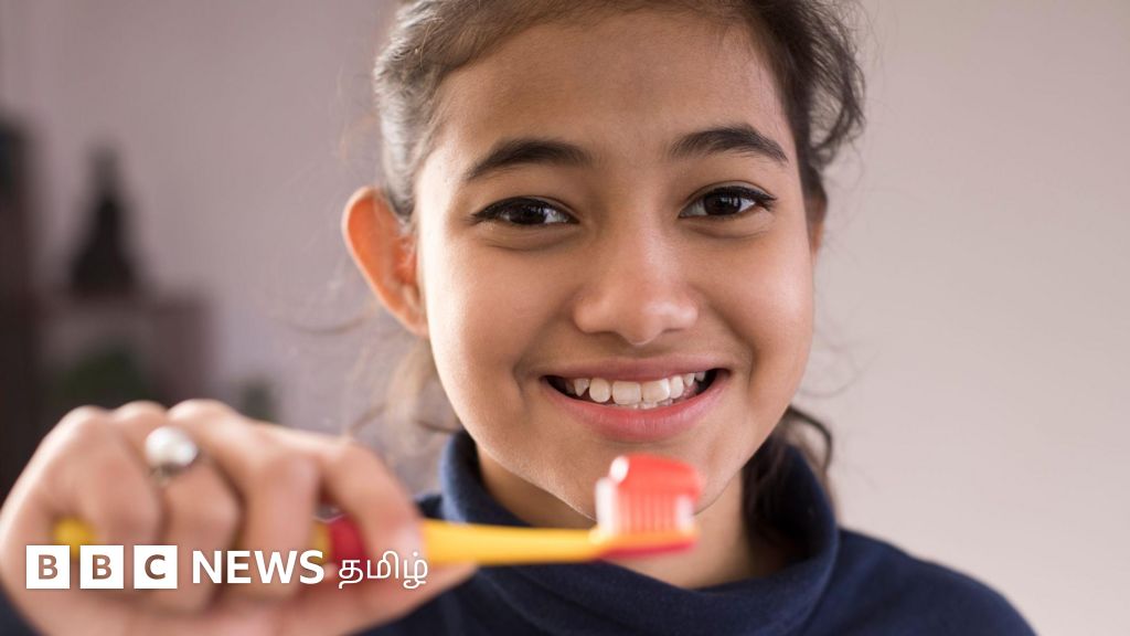 தினசரி இரு முறை பல் துலக்குவது கட்டாயமா? 4 முக்கிய விஷயங்கள்