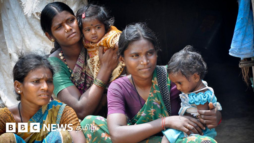 காலநிலை மாற்றம்: ஆணுடன் ஒப்பிடுகையில் பெண்ணுக்கு இரட்டைச் சுமை என்று நிபுணர்கள் எச்சரிப்பது ஏன்? 