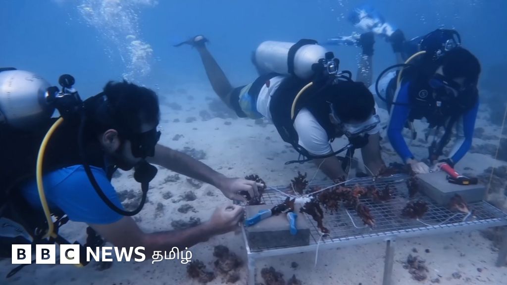 துபாயில் கடலுக்கு அடியில் என்ன செய்கிறது அந்நாட்டு அரசு? - காணொளி