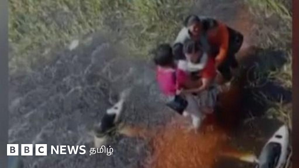 முதலைகளுக்கு நடுவே 36 மணி நேரம் - அனகோண்டா காட்டில் விமான விபத்தில் சிக்கியவர்களின் கதை