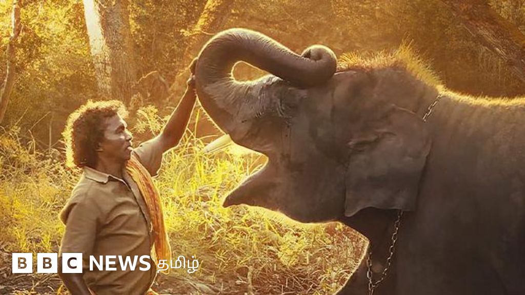 ஆஸ்கர் இறுதி பரிந்துரை பட்டியலில் முதுமலை யானை பராமரிப்பு தம்பதியின் கதை 