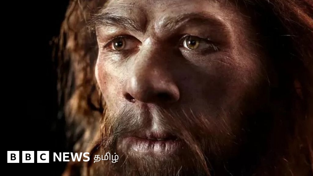 நியாண்டர்தால்களின் எலும்பு புல்லாங்குழல்: மனிதர்களின் மூதாதையர்களுக்கு இசையறிவு இருந்ததா?