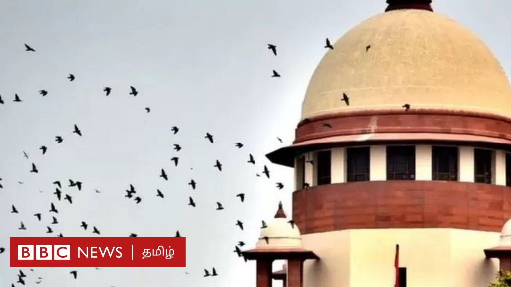 பேரறிவாளன் விடுதலைத் தீர்ப்பு: எந்த அடிப்படையில் விடுதலை ?