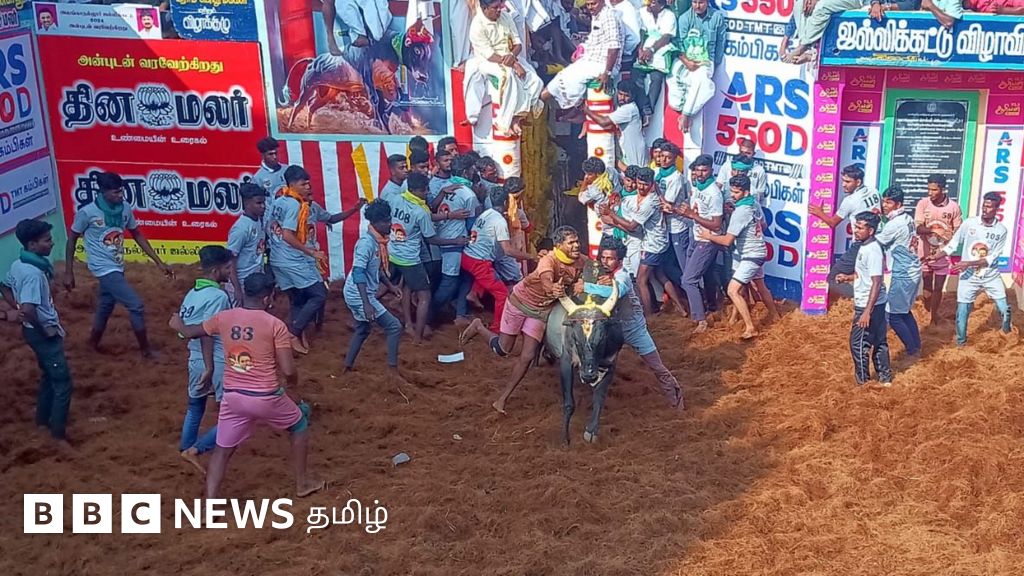 அலங்காநல்லூர் ஜல்லிக்கட்டு: விறுவிறுவென பாய்ந்த மாடுபிடி வீரர்களை சுத்தவிடும் காளைகள்
