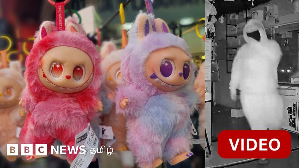 ஒரு பொம்மையின் விலை ரூ.6 லட்சம் - முகமூடி அணிந்து கொள்ளையடித்த நபர்கள்