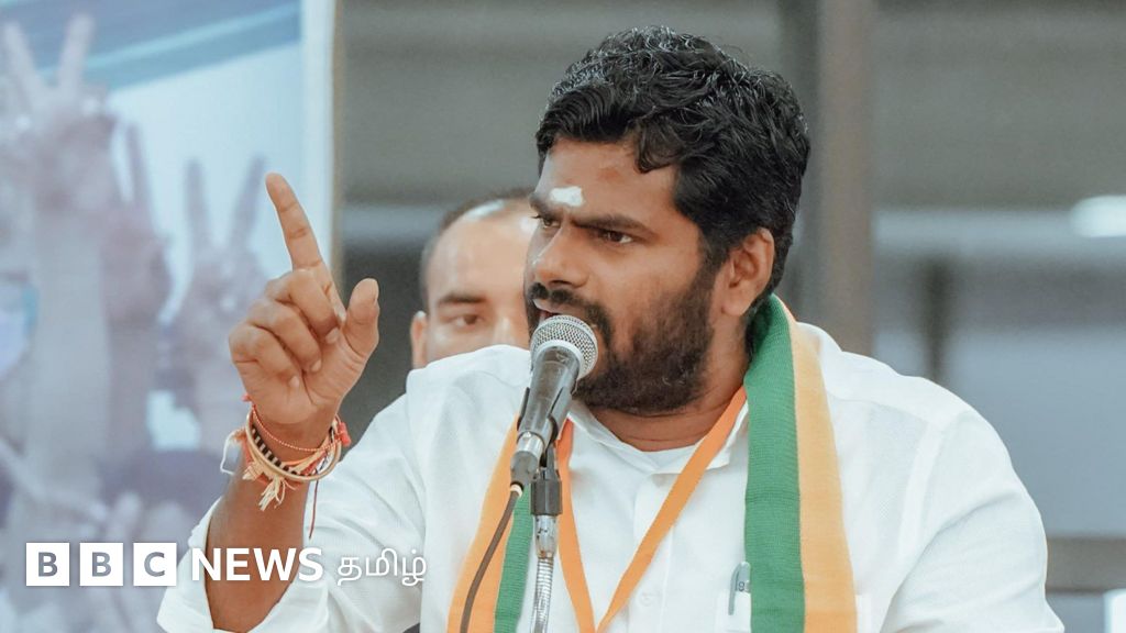 தமிழ்நாடு: அண்ணாமலை தலைமையில் பாஜகவுக்கு 'வெற்றிகரமான' தோல்வியா? - ஓர் அலசல்