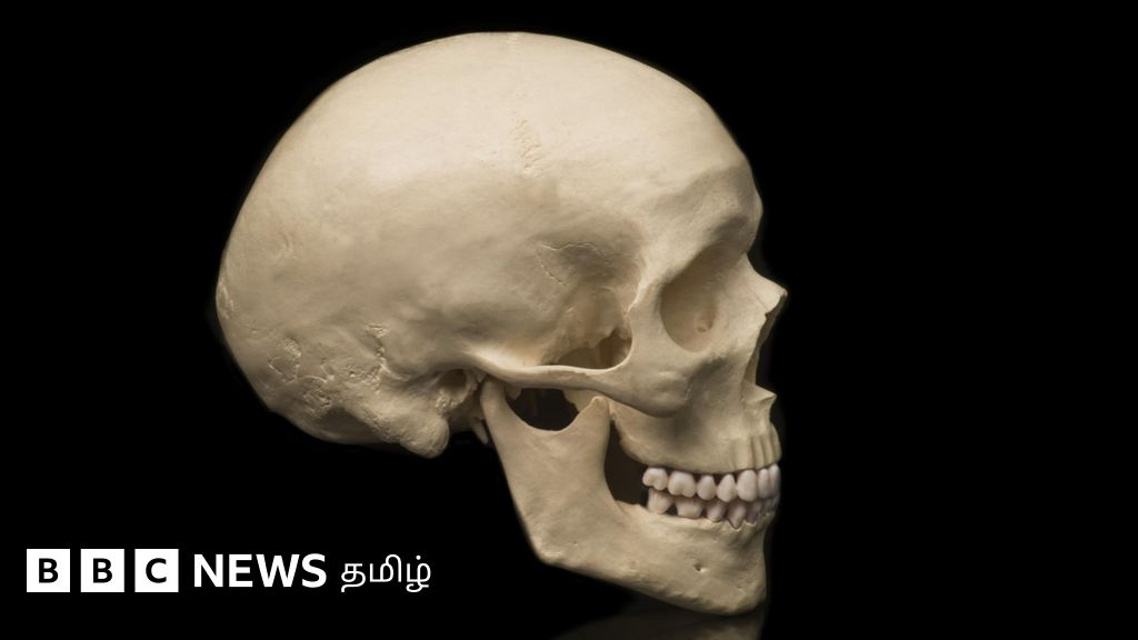 தலையில் தேங்காய் உடைக்கும் வேண்டுதல் மண்டை ஓட்டின் தாங்குதிறனை பாதிக்குமா?