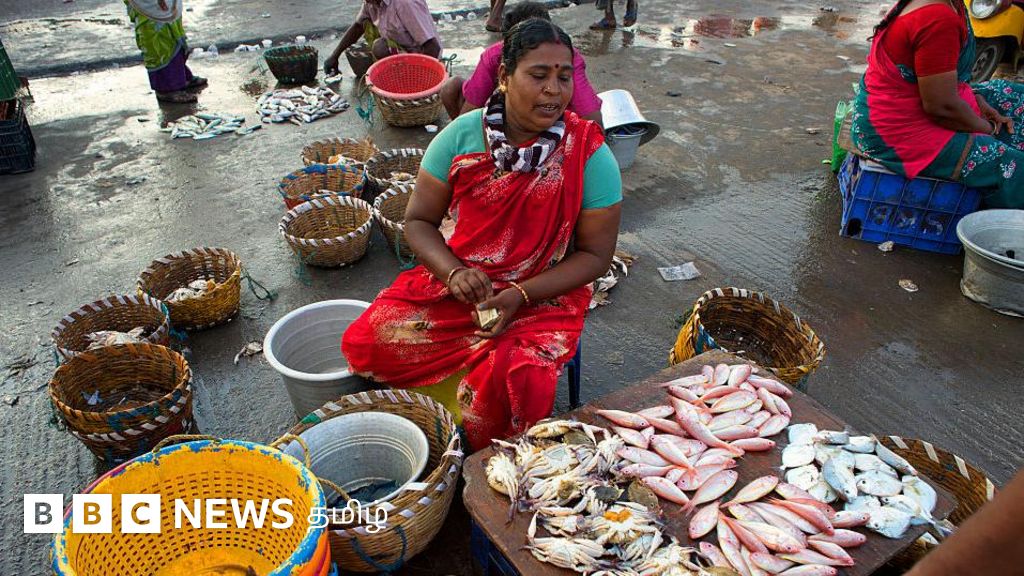 மீனவர்கள்தான் சென்னையின் பூர்வகுடிகளா? - பழவேற்காடு முதல் கோவளம் வரை வாழும் இவர்கள் யார்?