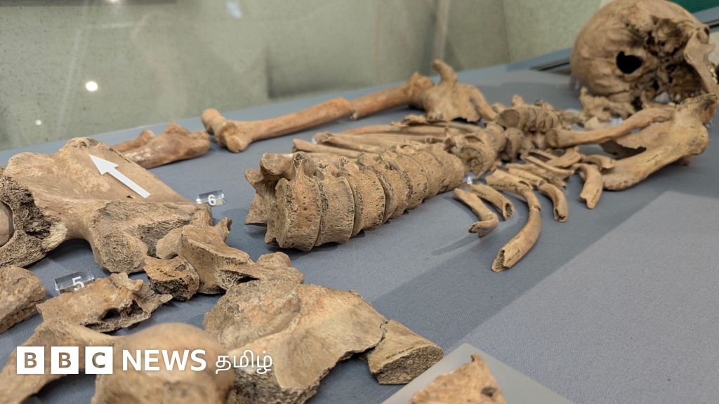 பழங்கால அரங்கில் நடந்த கிளாடியேட்டர் - சிங்கம் சண்டை: எலும்புகள் சொல்லும் சாட்சி!