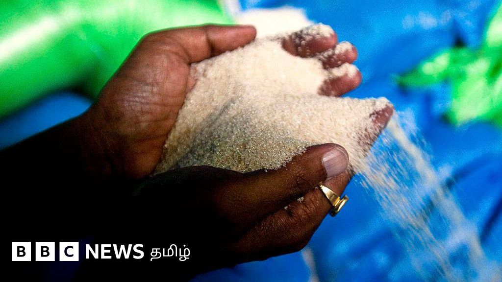 சர்க்கரை ஏற்றுமதிக்கு தடை விதித்த இந்தியா - அந்நிய செலாவணி இருப்பில் தாக்கத்தை ஏற்படுத்துமா? 