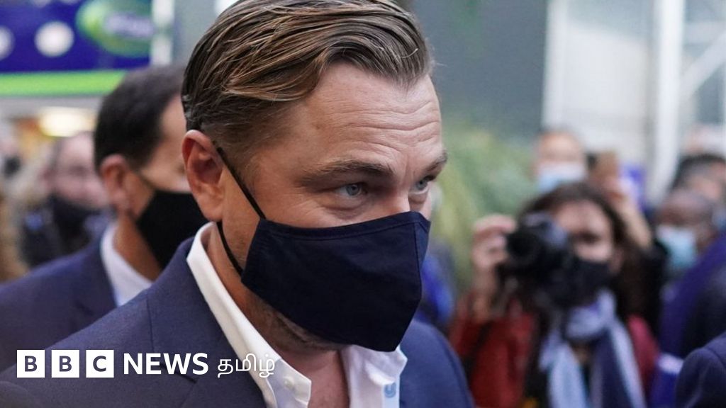 லியோனார்டோ டிகாப்ரியோ: புதிய மரத்துக்கு ஹாலிவுட் நடிகரின் பெயரை விஞ்ஞானிகள் வைத்தது ஏன்?