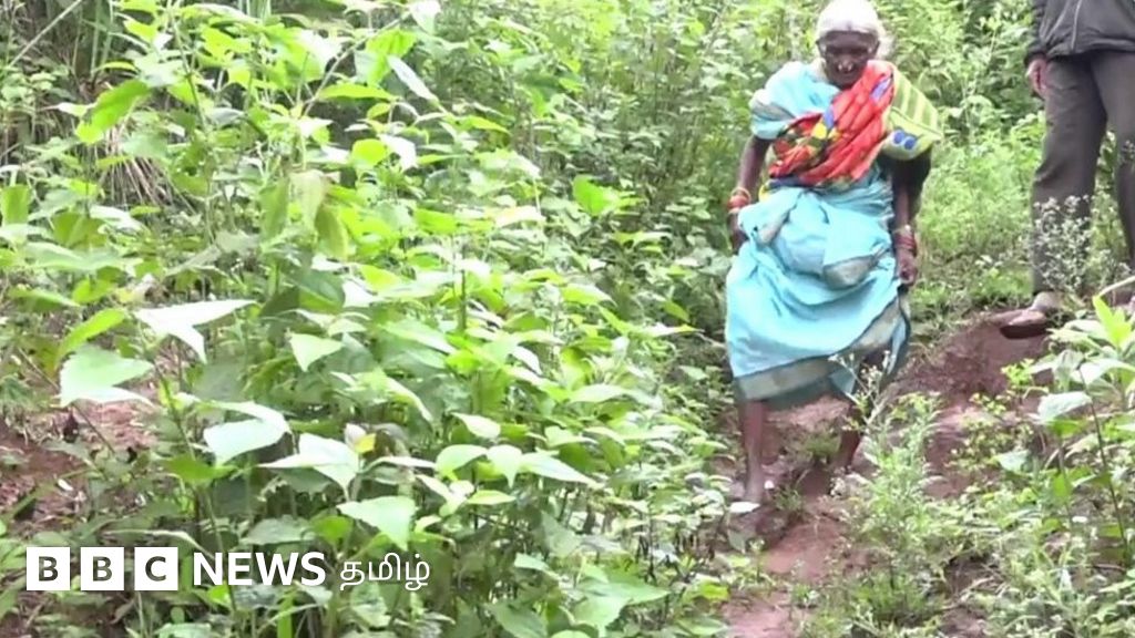 ஆந்திராவில் தனது கிராமத்திற்கு தடுப்பணை கட்டிய 75 வயதான சின்னாளம்மா