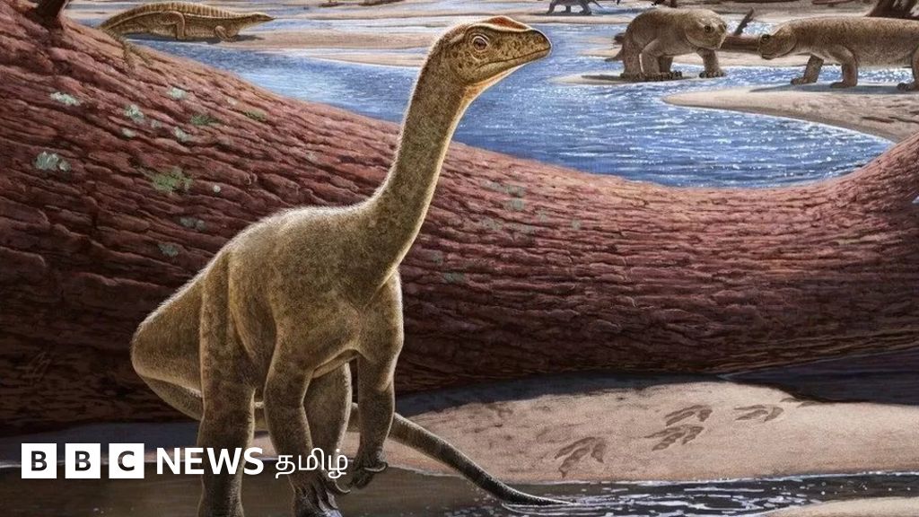 வரலாற்றை மாற்றி எழுதும் 23 கோடி ஆண்டுகளுக்கு முந்தைய 'சூப்பர் கண்ட' டைனோசர்