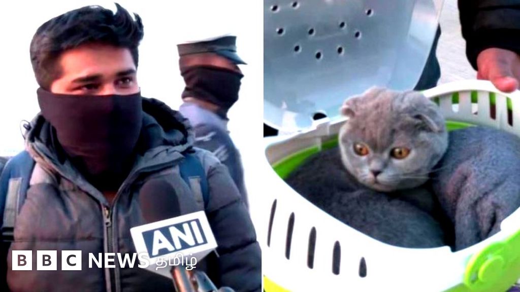 யுக்ரேனில் இருந்து செல்லப்பூனையுடன் இந்தியா வந்த தருமபுரி மாணவர் - மனிதநேயத்தை போற்றும் நெட்டிசன்கள்