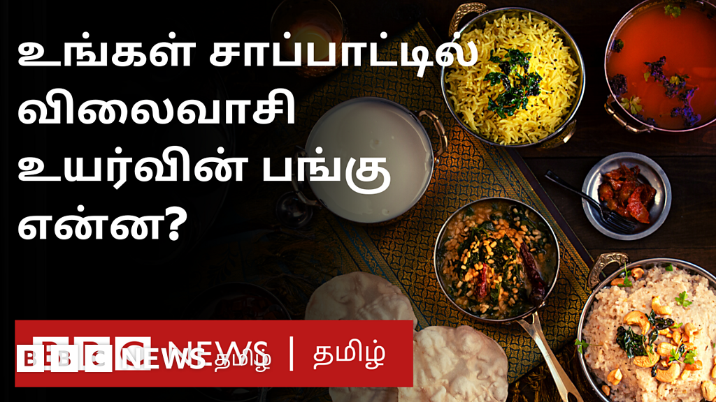 விலைவாசி உயர்வு உங்கள் உணவுத் தட்டை எப்படி பாதித்துள்ளது?