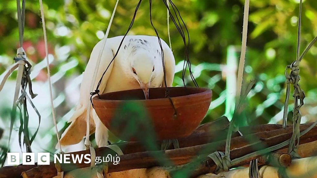 கல்லூரி வளாகத்த்திற்குள் பொட்டலாக இருந்த 15 ஏக்கர் நிலத்தில் காடு உருவாக்கிய கல்லூரி முதல்வர்