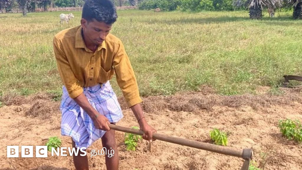 இலங்கை நெருக்கடி: 65,000 மெட்ரிக் டன் யூரியா வழங்க இந்தியா இணக்கம்