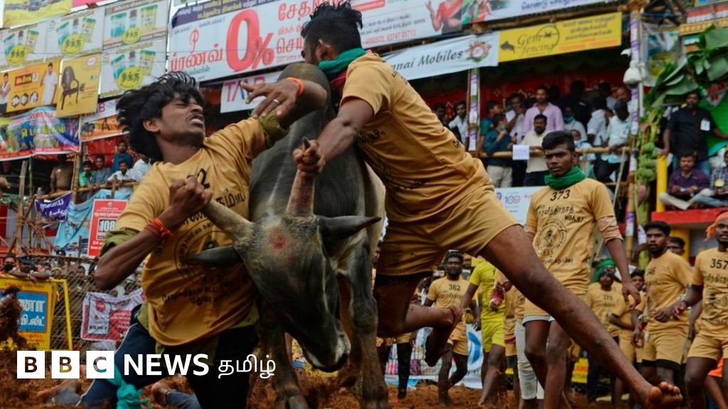 ஜல்லிக்கட்டுக்கு அனுமதி... ஆனால் தமிழக அரசின் புதிய கட்டுப்பாடுகள் தெரியுமா?